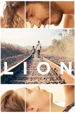 Lion's poster