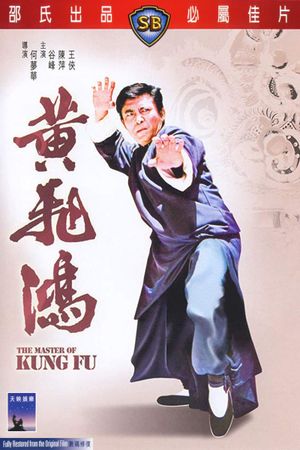 The Master of Kung Fu's poster