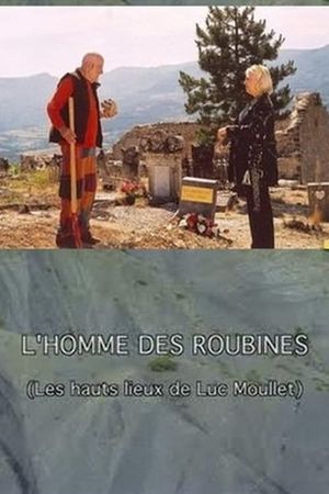 L'homme des roubines's poster