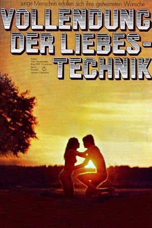 Vollendung der Liebestechnik's poster