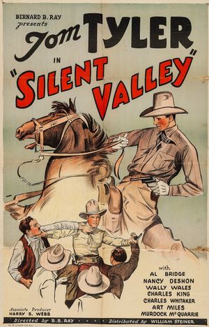 Silent Valley's poster