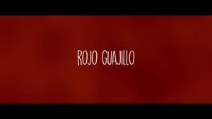 Rojo Guajillo's poster