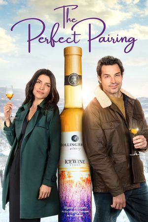 The Perfect Pairing's poster