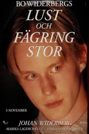 All Things Fair's poster