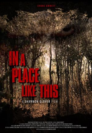 In A Place Like This's poster