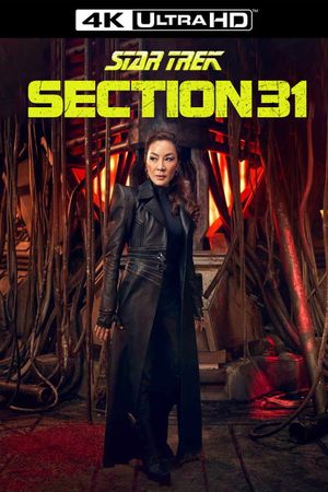 Star Trek: Section 31's poster