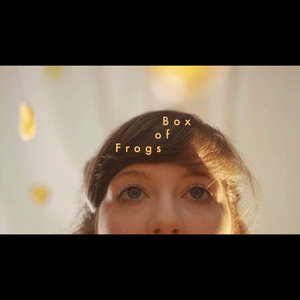Box of Frogs's poster