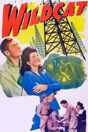 Wildcat's poster