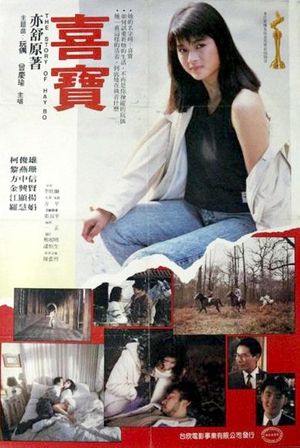 The Story of Hay Bo's poster