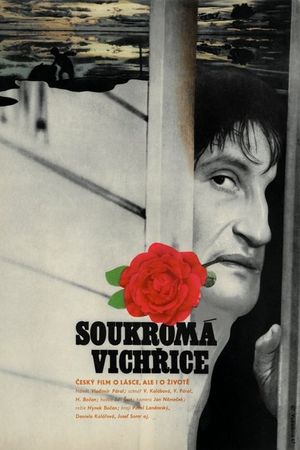 Private Torment's poster