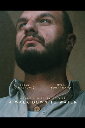 A Walk Down to Water's poster