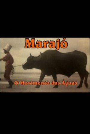 Marajó: A Origem das Águas's poster