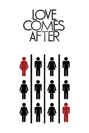Love Comes After's poster