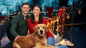 A Shelter and Season’s Greetings's poster