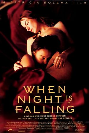 When Night Is Falling's poster image