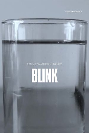 blink's poster