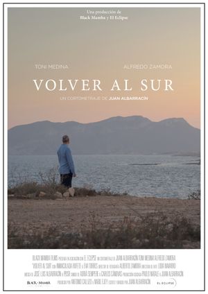 Volver al sur's poster