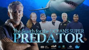 The Search for the Ocean's Super Predator's poster