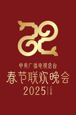 2025年中央广播电视总台春节联欢晚会's poster