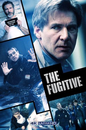 The Fugitive's poster