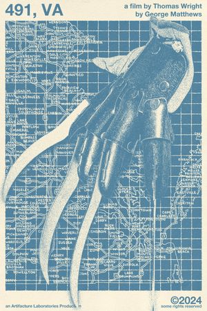 491, VA's poster
