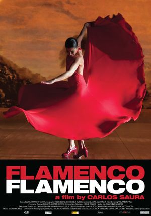 Flamenco Flamenco's poster