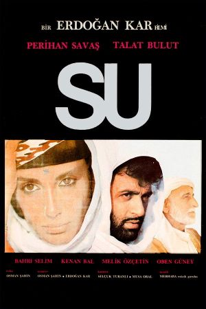 Su's poster