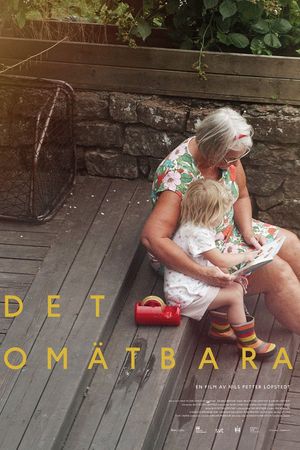 Det omätbara's poster