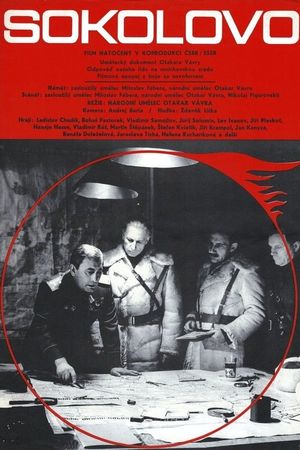 Sokolovo's poster