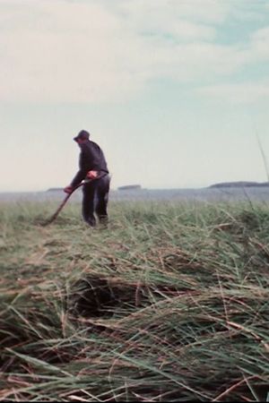 Farmer's poster