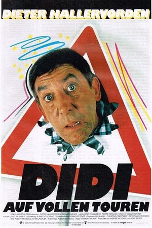 Didi Drives Me Crazy's poster