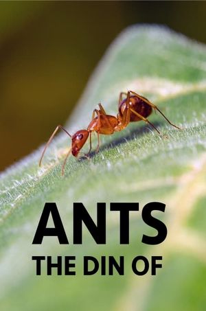 The Din Of Ants's poster