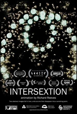 Intersextion's poster