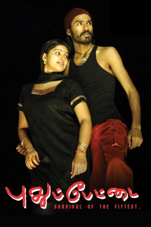 Pudhu Pettai's poster