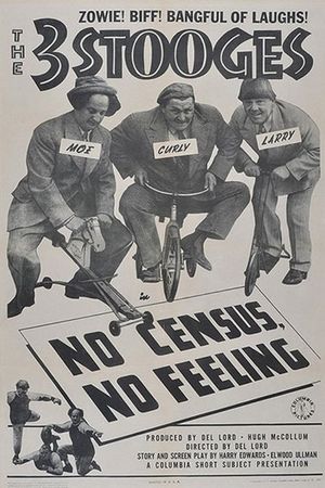 No Census, No Feeling's poster
