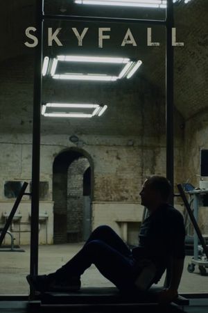 Skyfall's poster