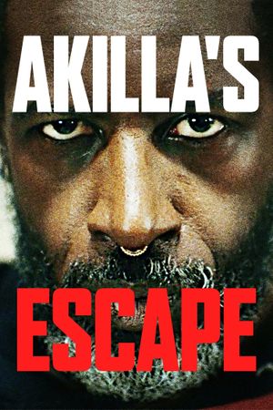 Akilla's Escape's poster