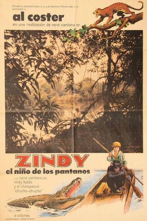 Zindy the Swamp Boy's poster