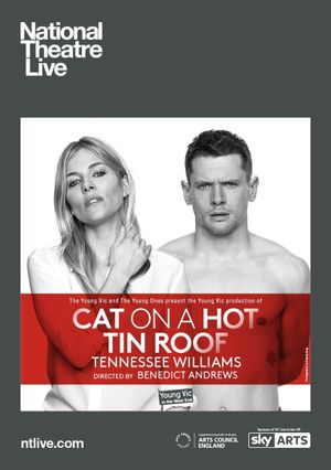Cat on a Hot Tin Roof's poster