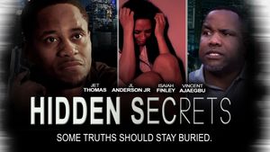 Hidden Secrets's poster