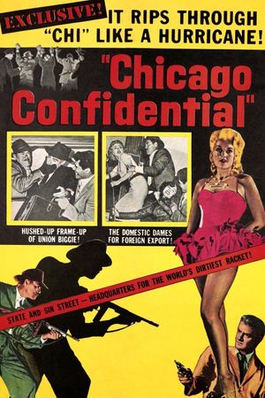 Chicago Confidential's poster