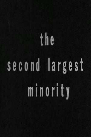 The Second Largest Minority's poster