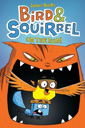 Bird & Squirrel's poster