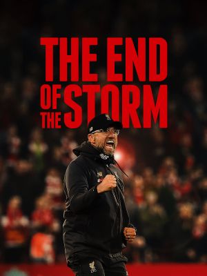 The End of the Storm's poster