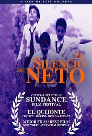 Los orígenes del silencio's poster