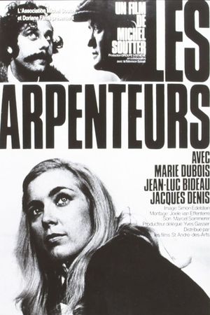 The Surveyors's poster