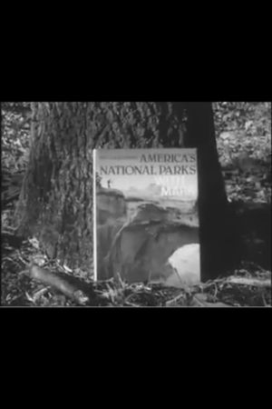 Into the Woods with Mark's poster
