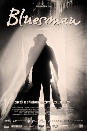 Bluesman's poster image