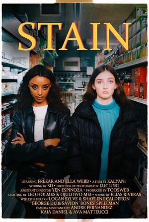 Stain's poster