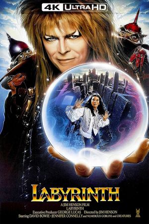 Labyrinth's poster